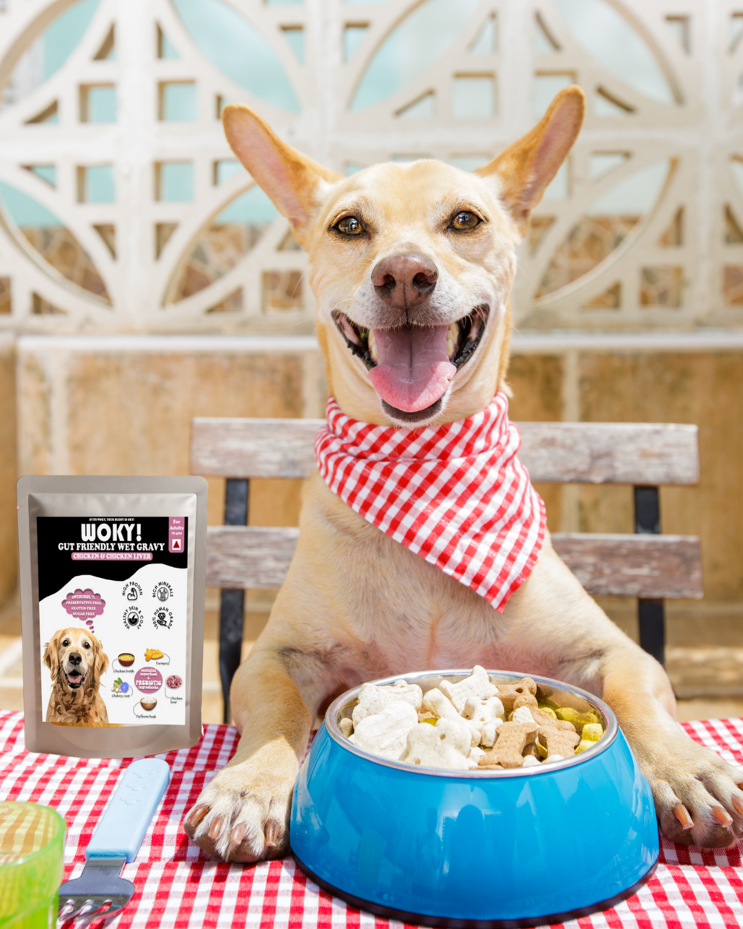 WOKY! Gut Friendly Wet dog food - Chicken & Chicken Liver with Added Prebiotics - for Adult Dogs 110gms (Pack of 6 Pc)