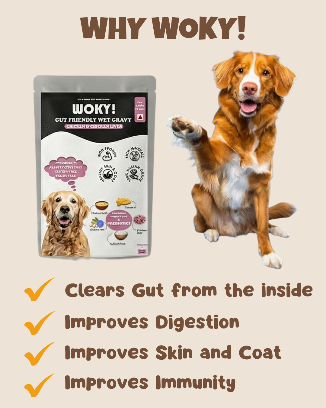 Chicken & Liver Added Prebiotics - Adult Dogs 70gms (Pack of 6 Pc)