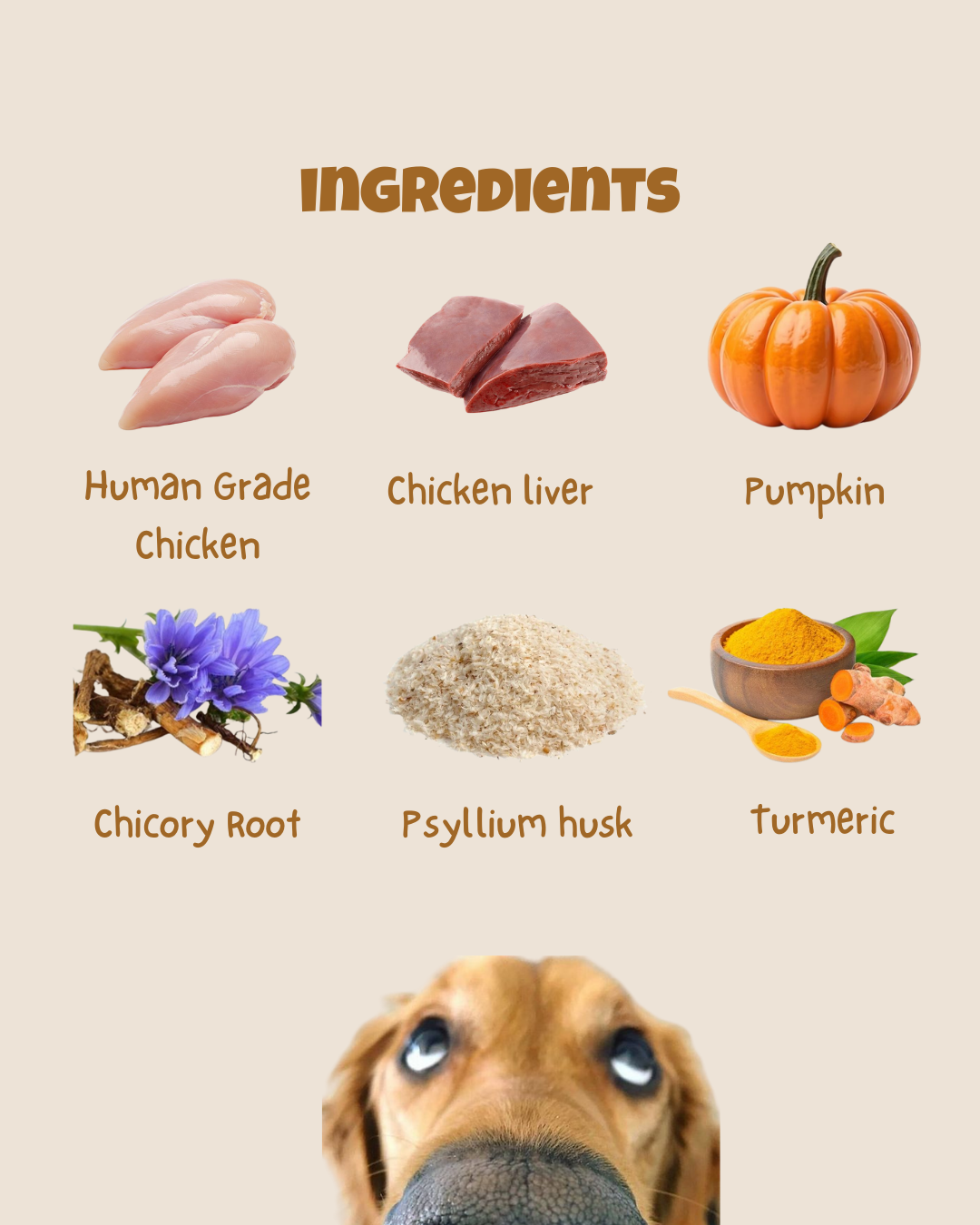 WOKY! Gut Friendly Wet dog food - Chicken & Liver with Added Prebiotics - for Adult Dogs 110gms (Pack of 6 Pc)