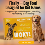 WOKY! - Gut & Digestion Focused Wet Gravy Dog Food (100gms)
