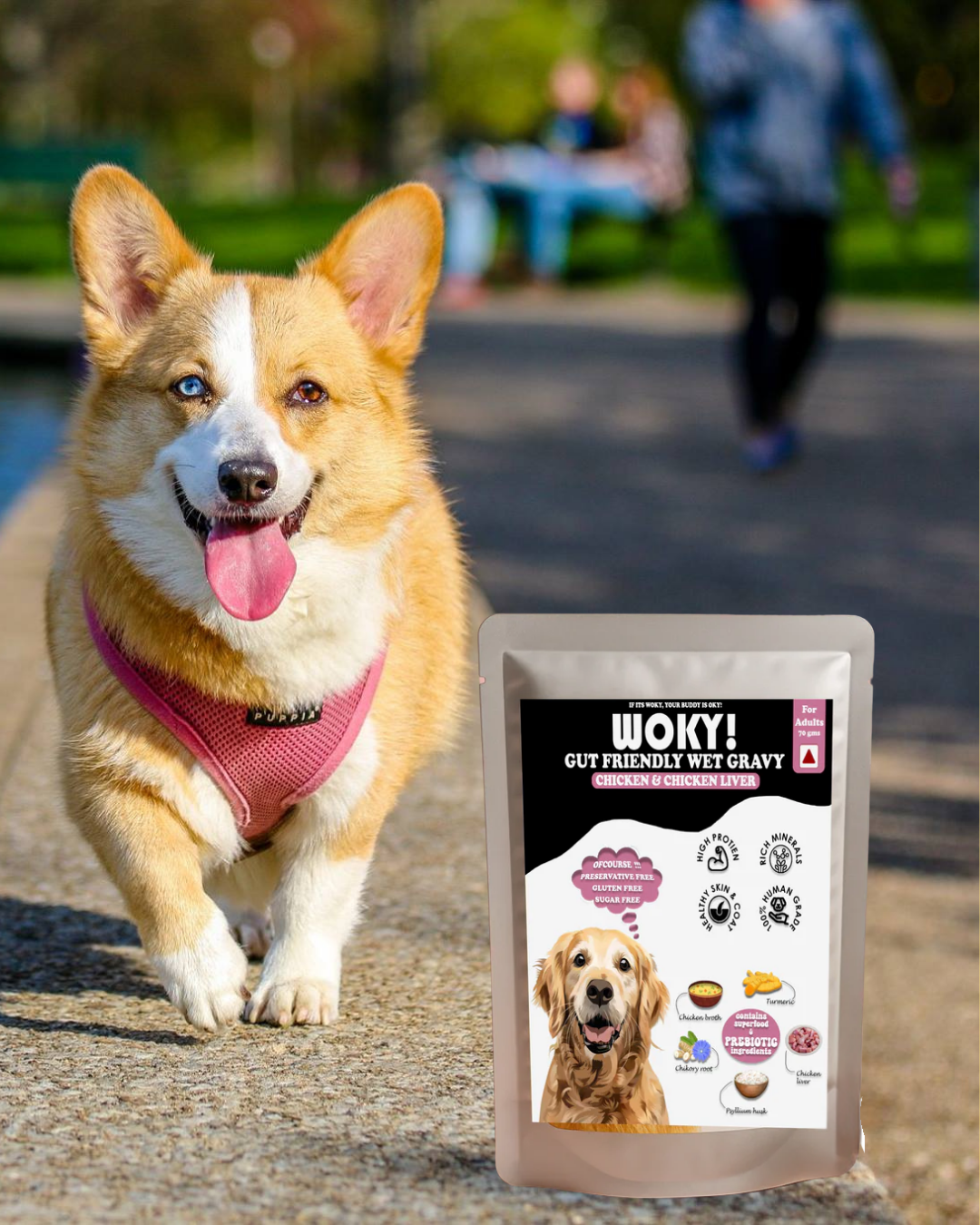WOKY! Gut Friendly Wet dog food - Chicken & Chicken Liver Added Prebiotics - Adult Dogs 70gms (Pack of 6 Pc)