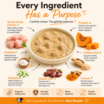 WOKY! - Gut & Digestion Focused Wet Gravy Dog Food (100gms)