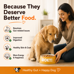 WOKY! - Gut & Digestion Focused Wet Gravy Dog Food (100gms)