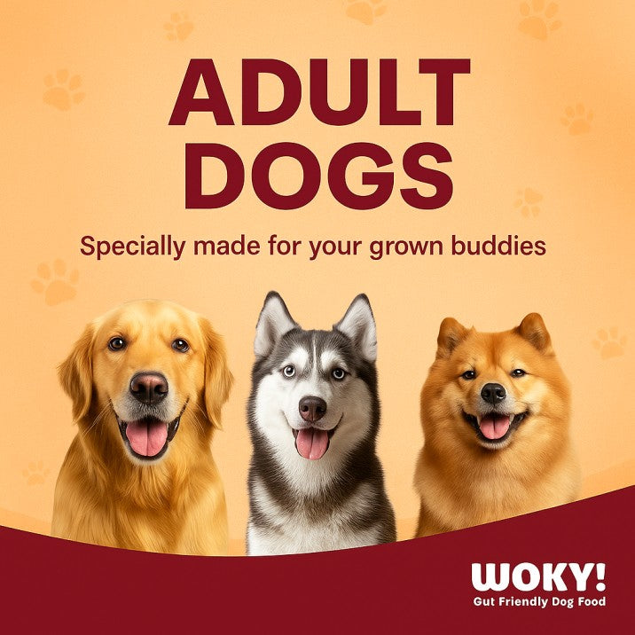 Chicken & Chicken Liver Added Prebiotics - Adult Dogs 70gms (Pack of 6 Pc)