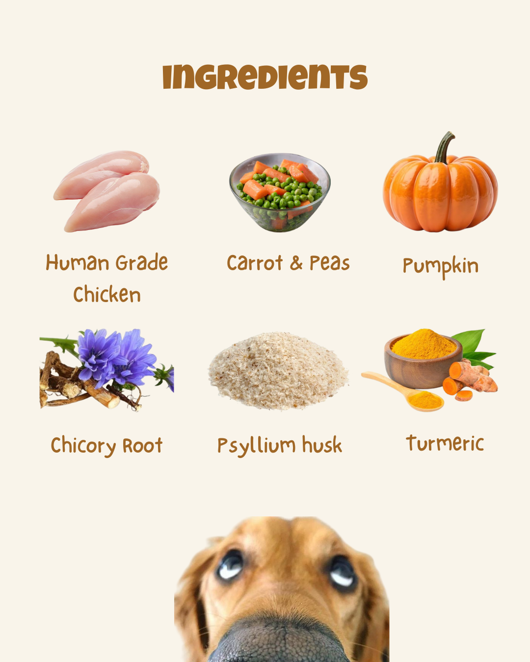 Chicken & Veggies with Added Prebiotics - for Adult Dogs 70gms (Pack of 6 Pc)