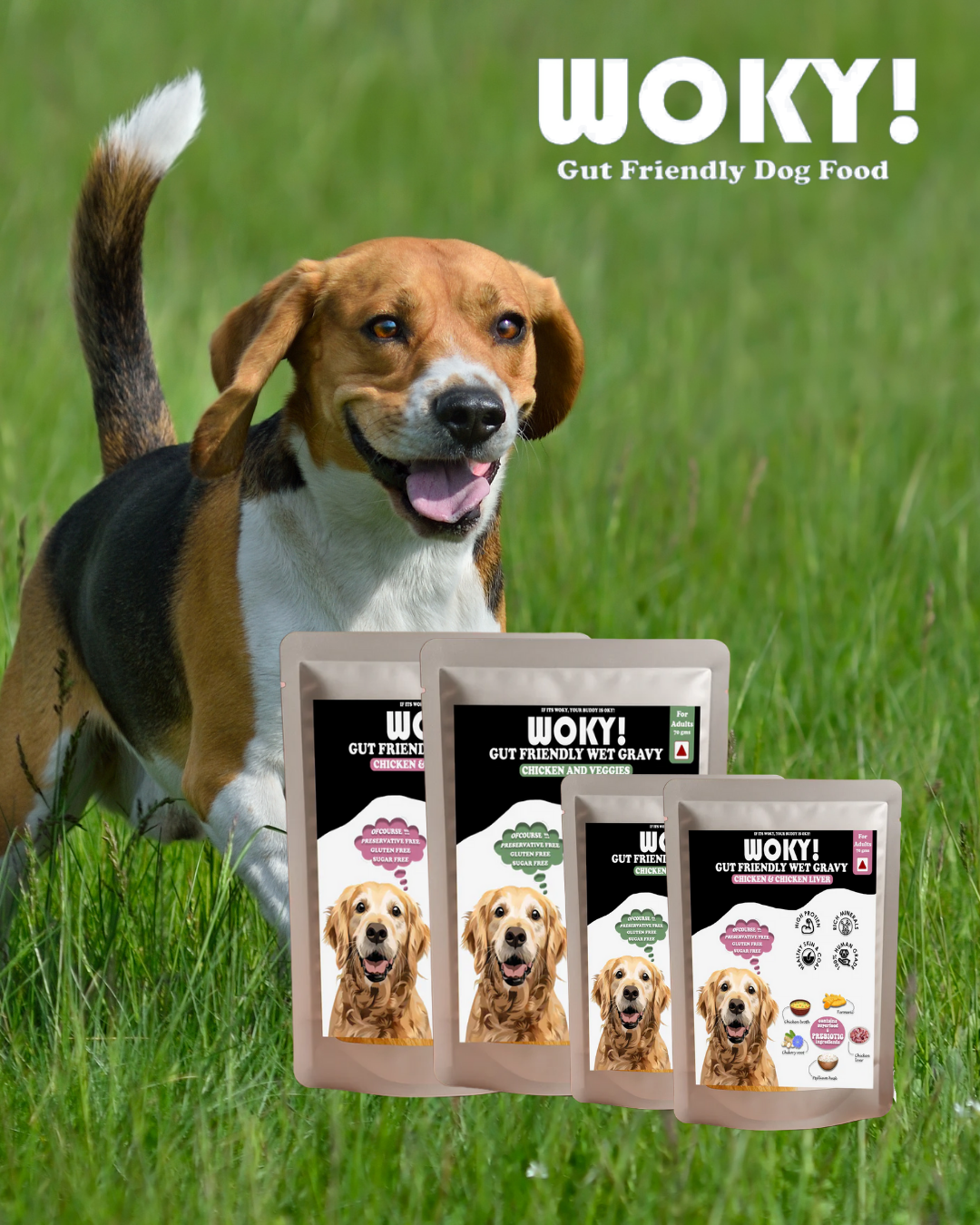 WOKY! Gut Friendly Wet Dog Food  Trial Pack -4pcs