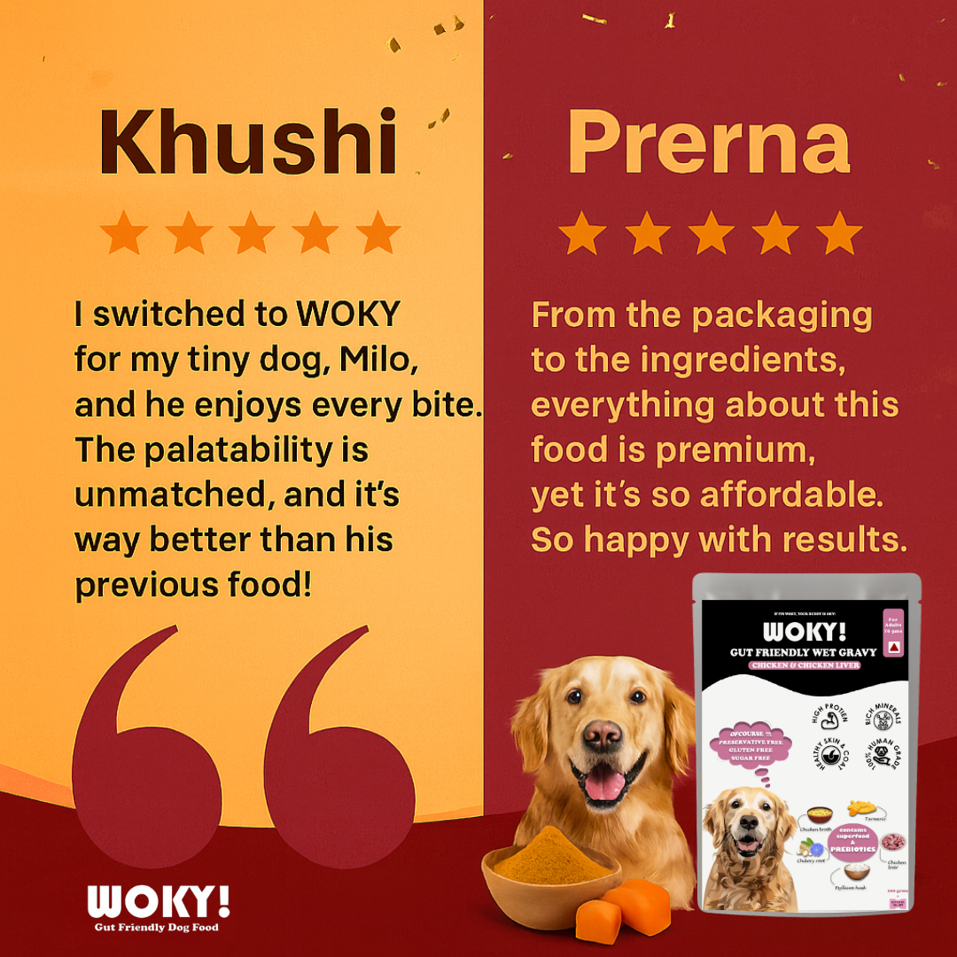 Chicken & Chicken Liver Added Prebiotics - Adult Dogs 70gms (Pack of 6 Pc)