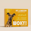 WOKY! - Gut & Digestion Focused Wet Gravy Dog Food (100gms)